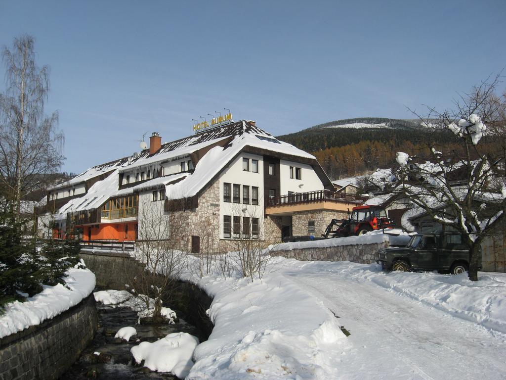 Aurum Отель 4*